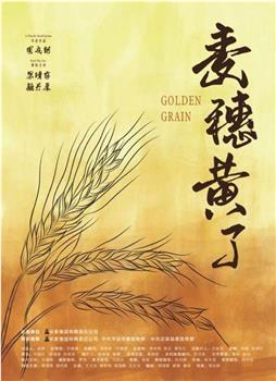 麦穗黄了在线观看和下载