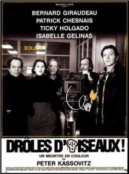 Drôles d'oiseaux在线观看和下载