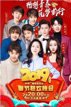 2019年中央电视台春节联欢晚会在线观看和下载