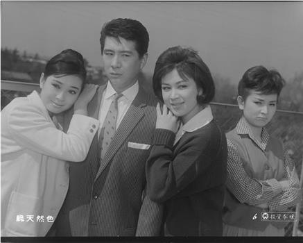 投資令嬢在线观看和下载