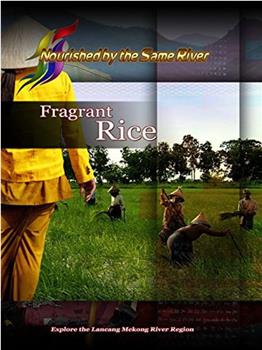 Fragrant Rice在线观看和下载