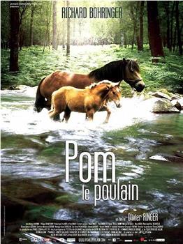 Pom, le poulain在线观看和下载