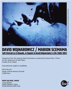 23轮自画像：1989-1991中大卫·沃纳罗维奇生活的一章在线观看和下载