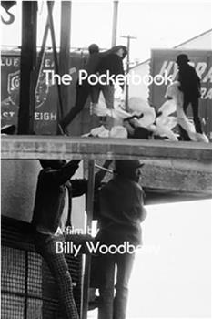 The Pocketbook在线观看和下载