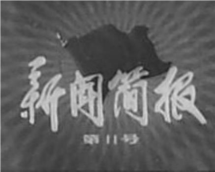 新闻简报1975年第11号在线观看和下载