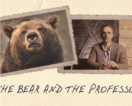 熊饲料：采访乔丹·彼得森博士、熊和龙虾在线观看和下载