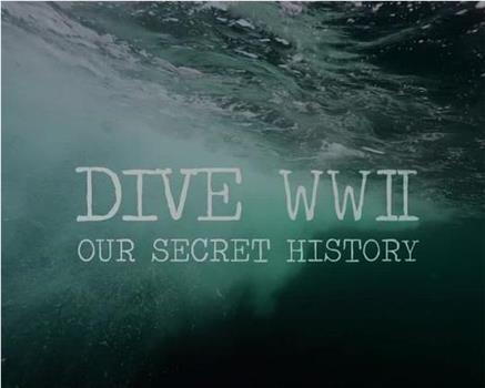 二战：隐藏在海底的秘密在线观看和下载