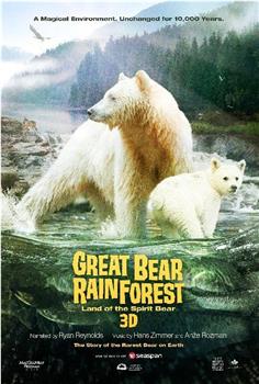 大熊雨林在线观看和下载