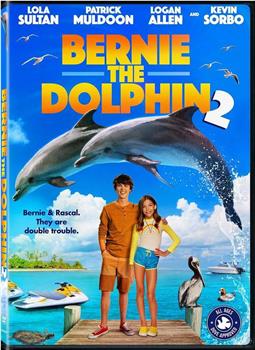 海豚伯尼2在线观看和下载