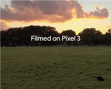 用谷歌Pixel3拍摄在线观看和下载