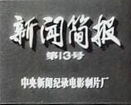 新闻简报1972年第13号在线观看和下载