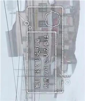 纪实72小时：旭川的彩票店 大雪中的梦想在线观看和下载