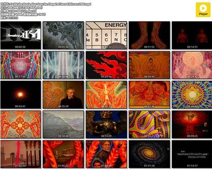 CoSM the Movie: Alex Grey & the Chapel of Sacred Mirrors在线观看和下载