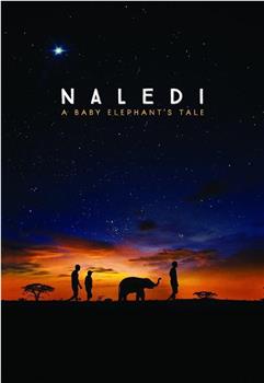 纳勒迪：一只小象的故事在线观看和下载