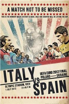 欧洲杯决赛西班牙VS意大利在线观看和下载