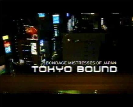 Secret Life of Japan - Tokyo Bound: Bondage Mistresses of Japan在线观看和下载