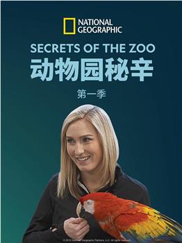 动物园的秘密 第一季在线观看和下载
