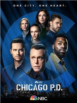 芝加哥警署 第九季在线观看和下载