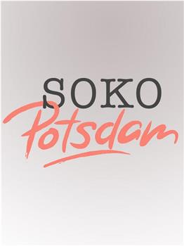SOKO Potsdam在线观看和下载