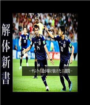 深度解析日本足球代表队——西野郎的《菊与刀》在线观看和下载