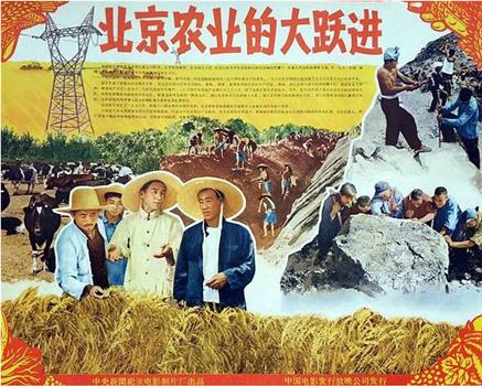 北京农业的大跃进在线观看和下载