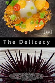 The Delicacy在线观看和下载