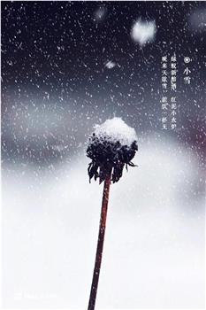 小雪在线观看和下载