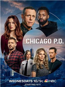 芝加哥警署 第八季在线观看和下载