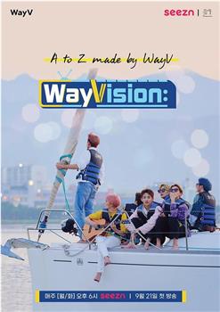 WayVision在线观看和下载
