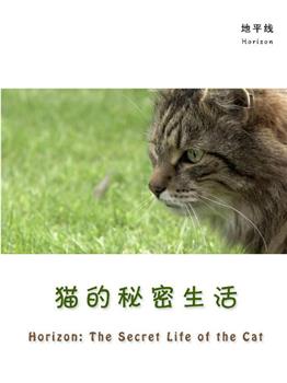 猫的秘密生活在线观看和下载