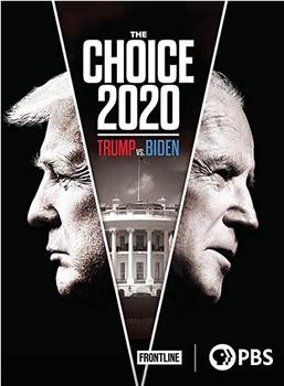 2020年的选择：特朗普VS拜登在线观看和下载