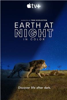 夜色中的地球 第一季在线观看和下载