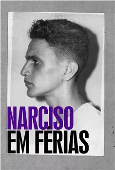 Narciso em Férias在线观看和下载