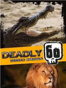 致命的60种生物 第二季 特别节目在线观看和下载