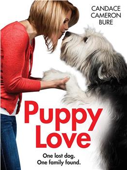 Puppy Love在线观看和下载