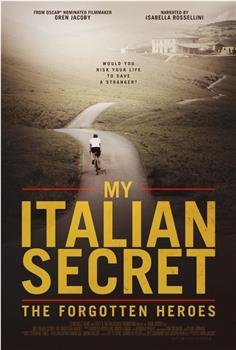 我的意大利秘密：被遗忘的二战英雄在线观看和下载