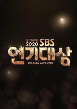 2020 SBS 演技大赏在线观看和下载