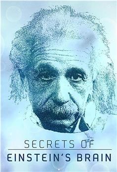 爱因斯坦大脑的秘密在线观看和下载