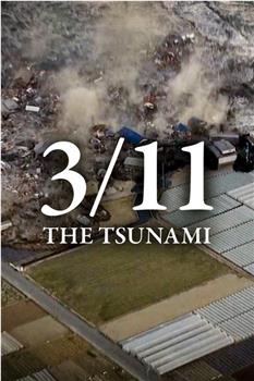 3/11 - 海啸来袭：最初的3天在线观看和下载