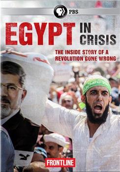 前线: 埃及危机在线观看和下载