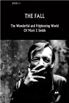 堕落乐队：马克·E.史密斯的奇妙而可怕的世界在线观看和下载