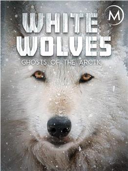北极狼 极地幽灵在线观看和下载