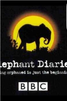 大象日记 第一季在线观看和下载
