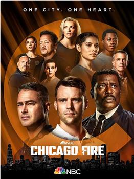 芝加哥烈焰 第十季在线观看和下载
