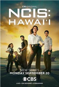 海军罪案调查处：夏威夷 第一季在线观看和下载