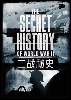 二战秘史在线观看和下载