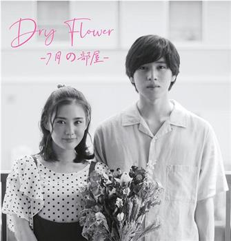 Dry Flower-七月的房间-在线观看和下载