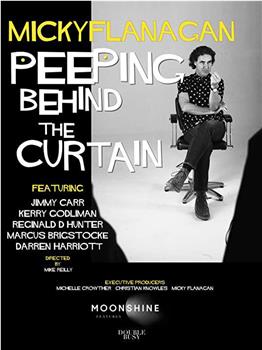 Micky Flanagan: Peeping Behind the Curtain在线观看和下载