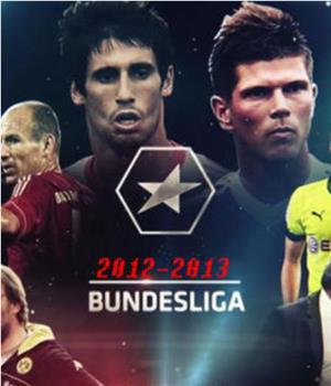 2012-2013赛季 德国足球甲级联赛在线观看和下载