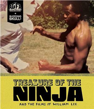 Treasure of the Ninja在线观看和下载